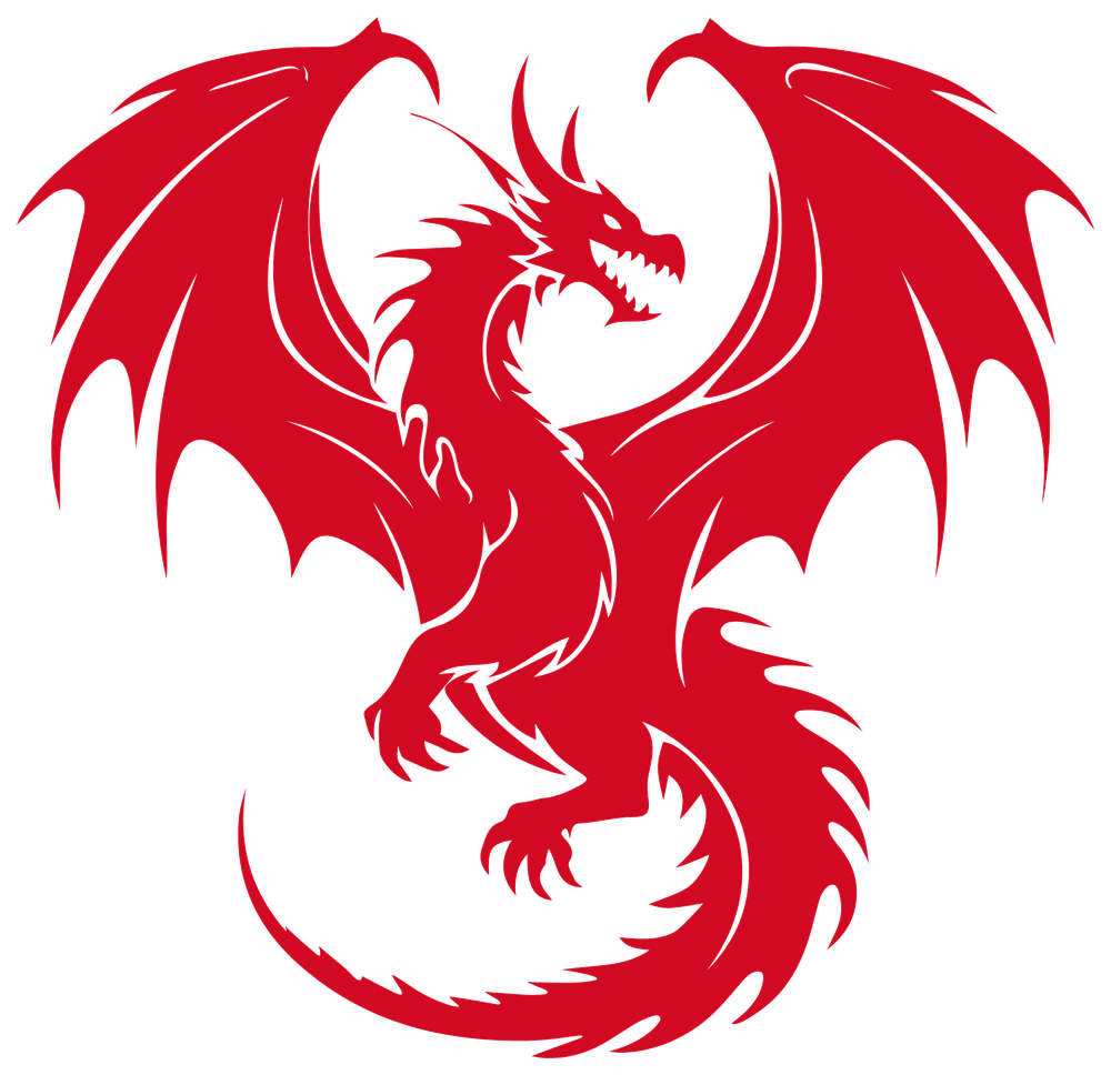 Dragón Dragon Insumos